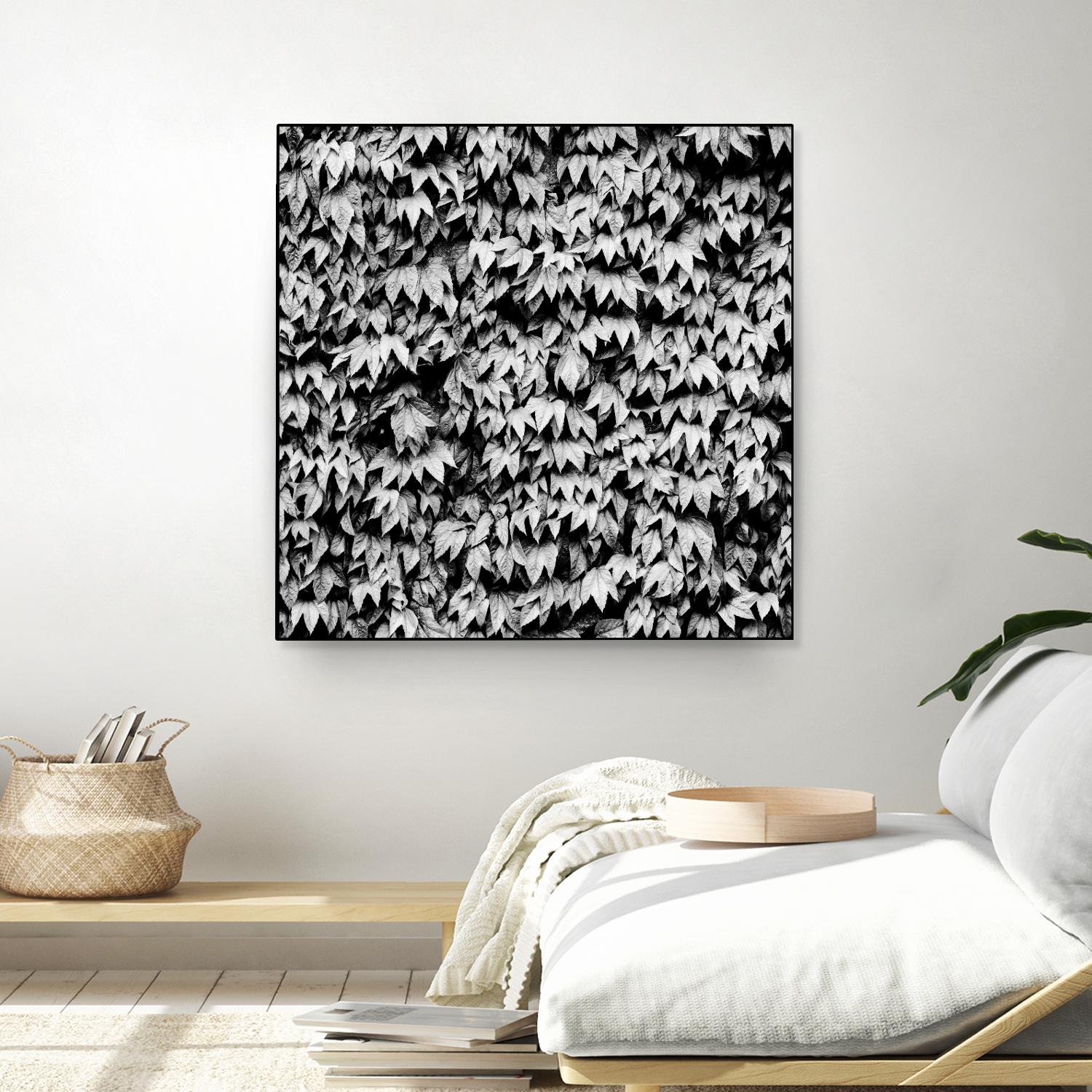 Wall of Leaves by Kyle Goldie on GIANT ART - white photo art