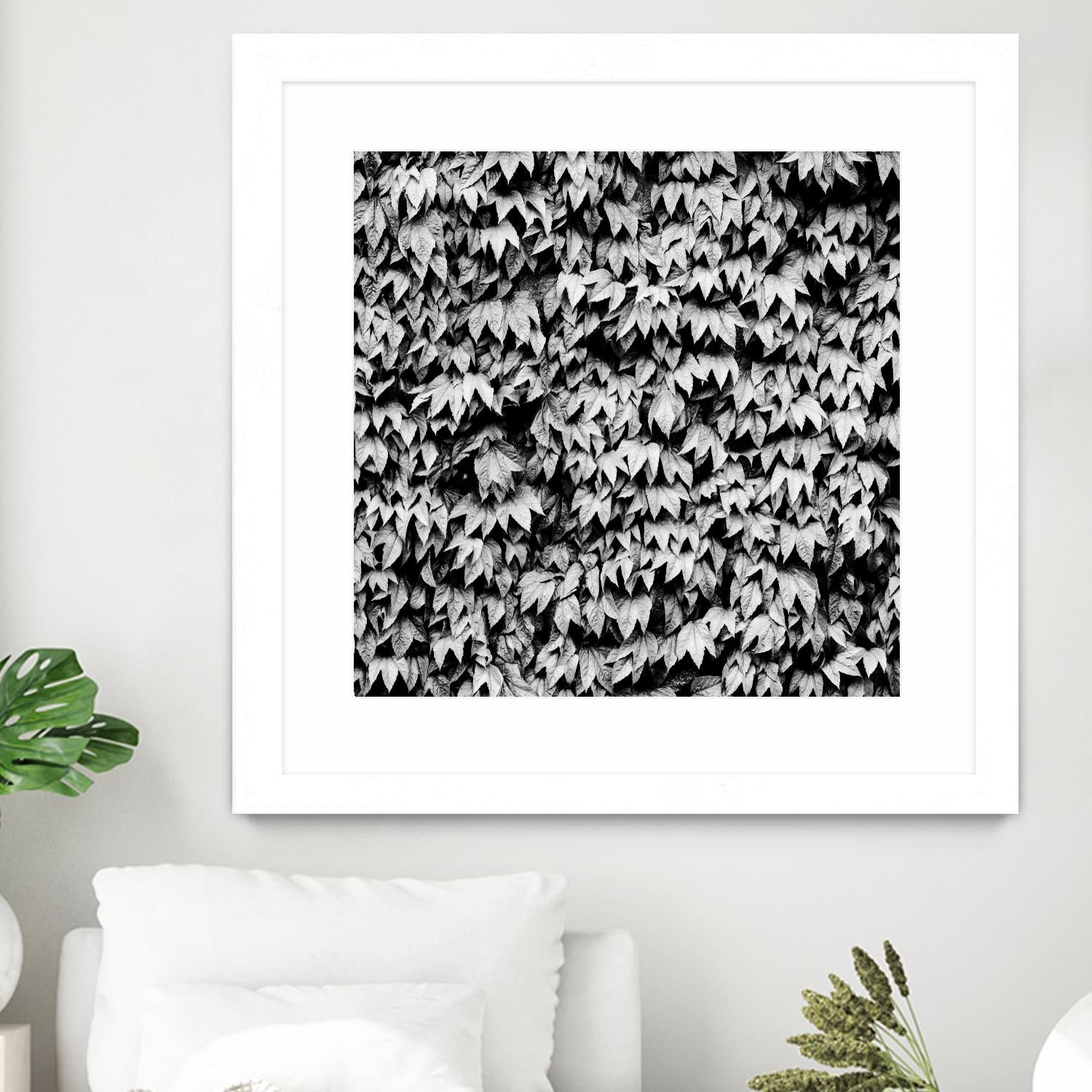Wall of Leaves by Kyle Goldie on GIANT ART - white photo art