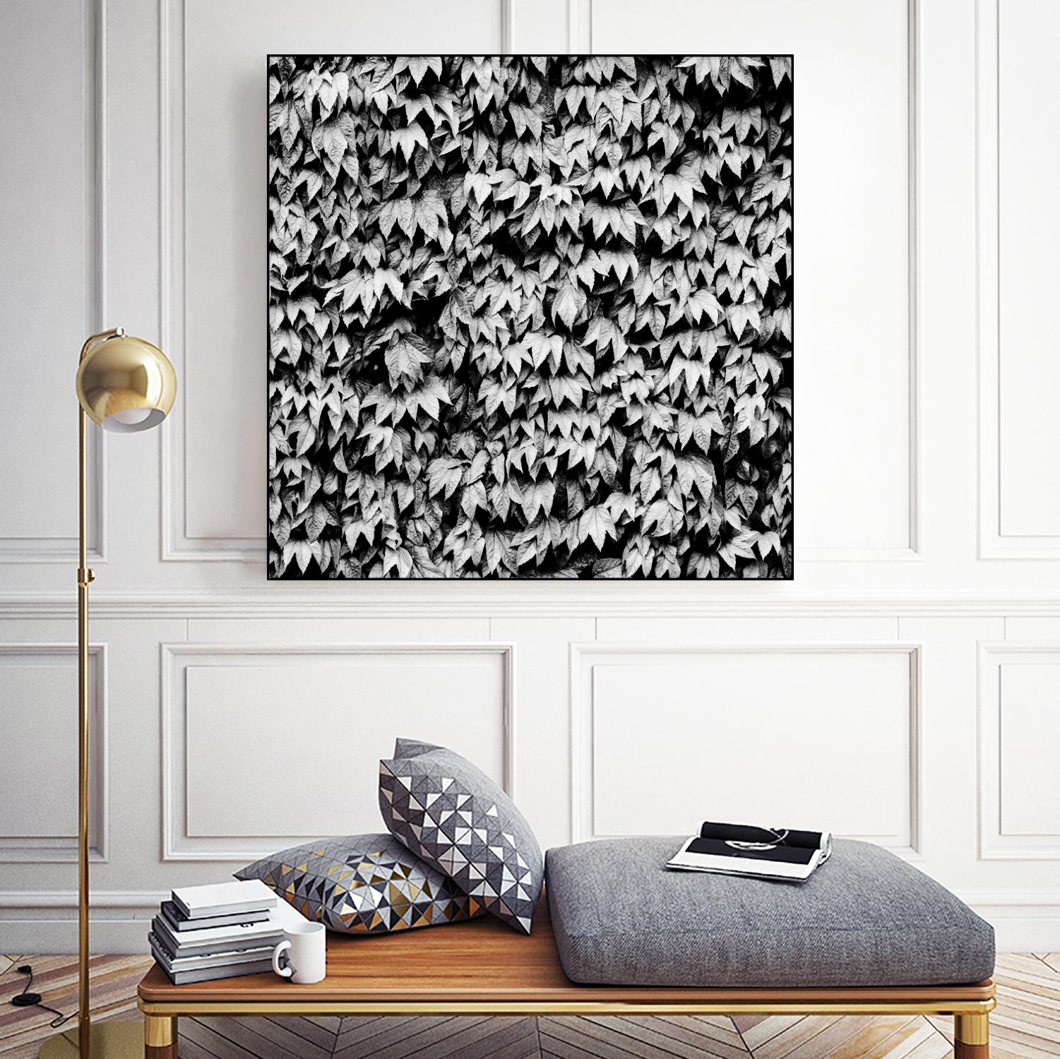 Wall of Leaves by Kyle Goldie on GIANT ART - white photo art