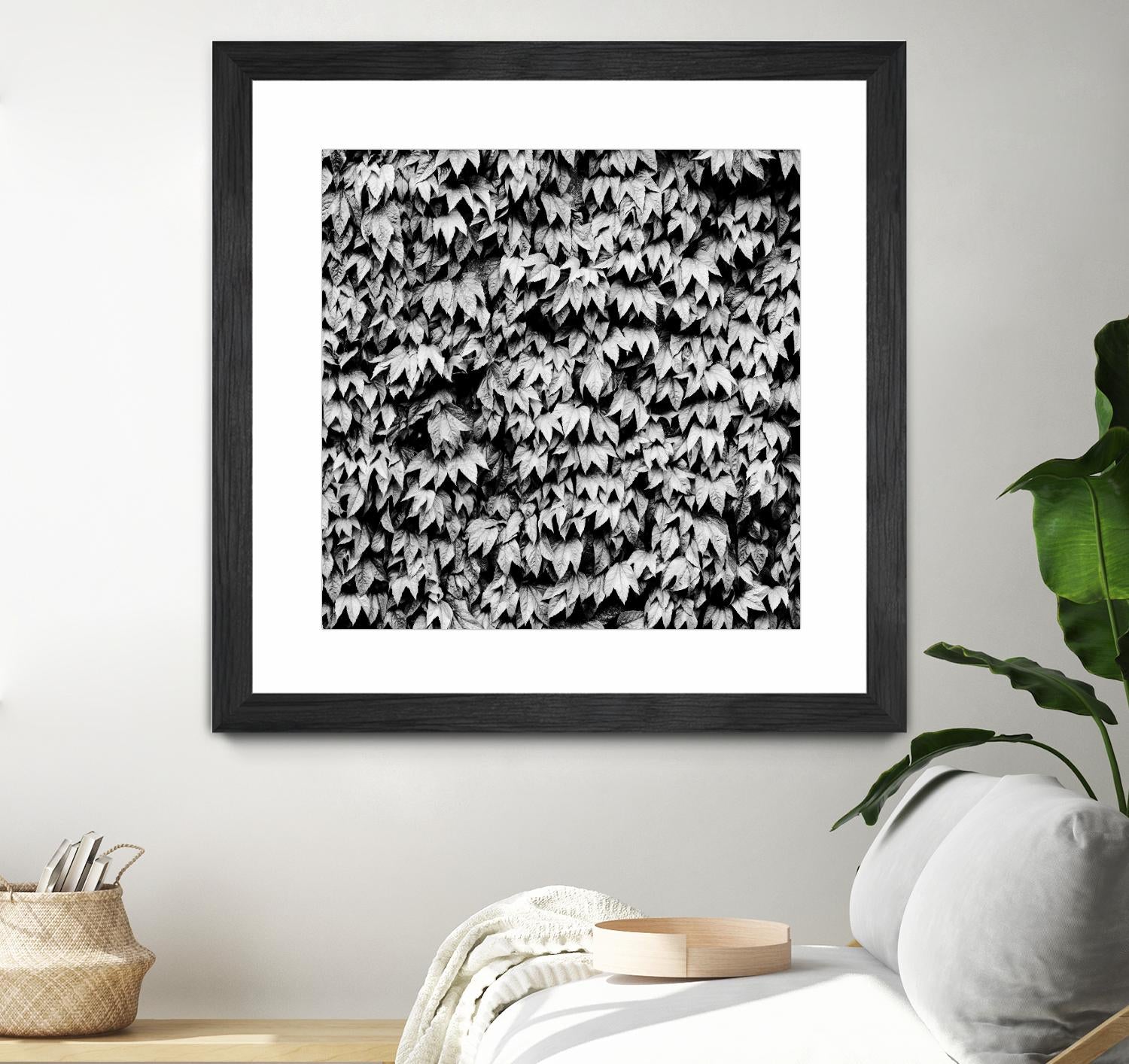 Wall of Leaves by Kyle Goldie on GIANT ART - white photo art