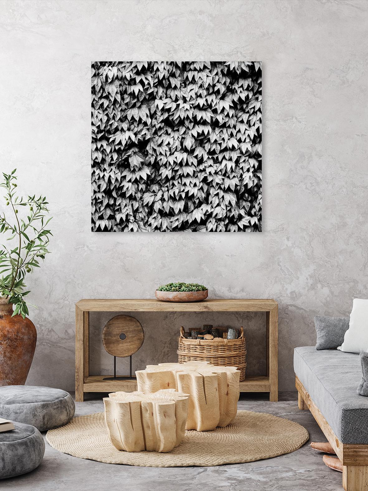 Wall of Leaves by Kyle Goldie on GIANT ART - white photo art