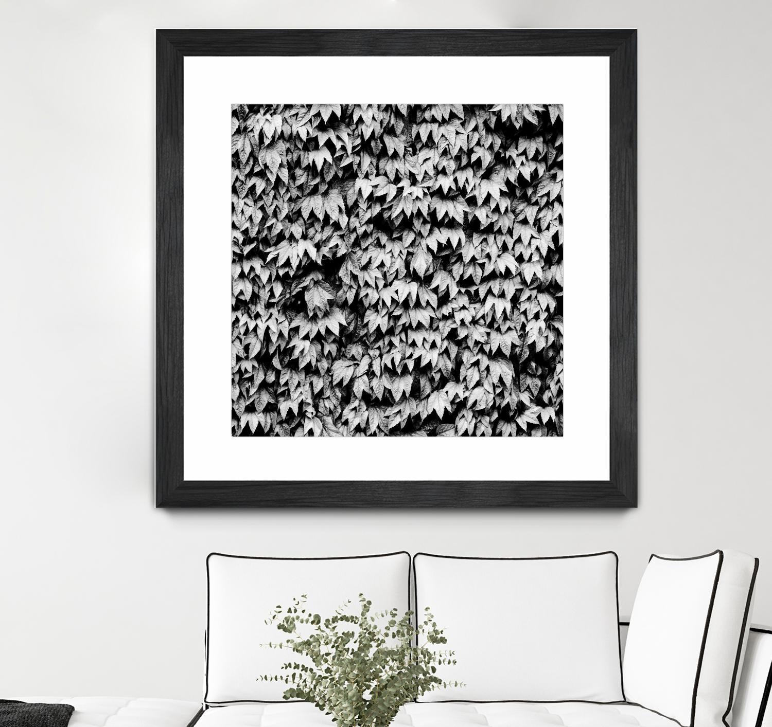 Wall of Leaves by Kyle Goldie on GIANT ART - white photo art