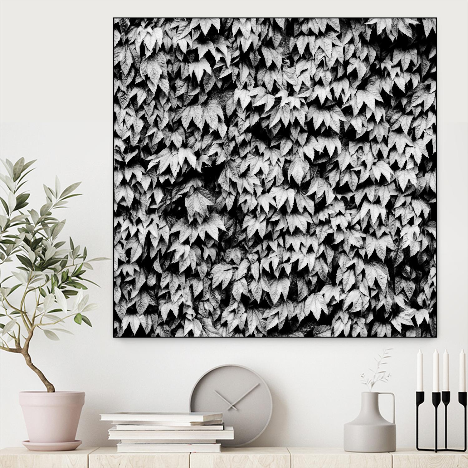 Wall of Leaves by Kyle Goldie on GIANT ART - white photo art