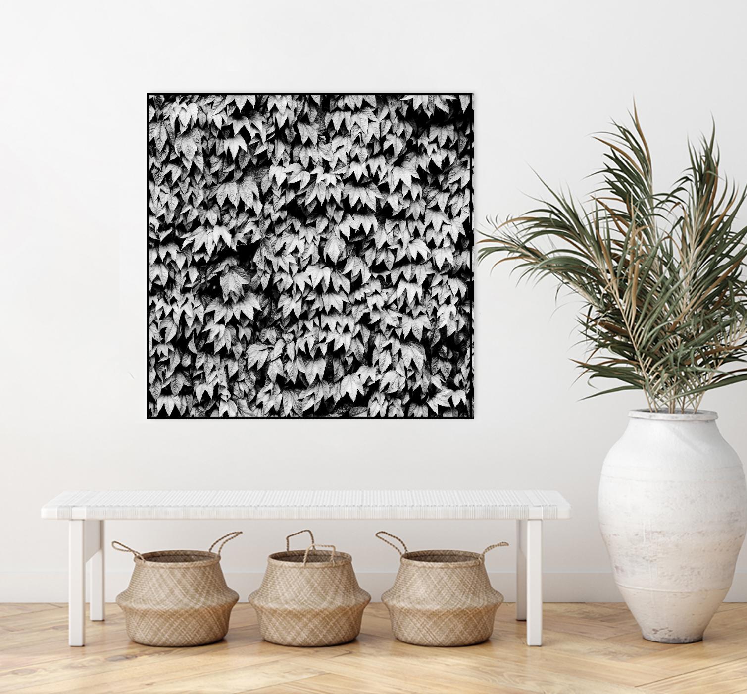 Wall of Leaves by Kyle Goldie on GIANT ART - white photo art