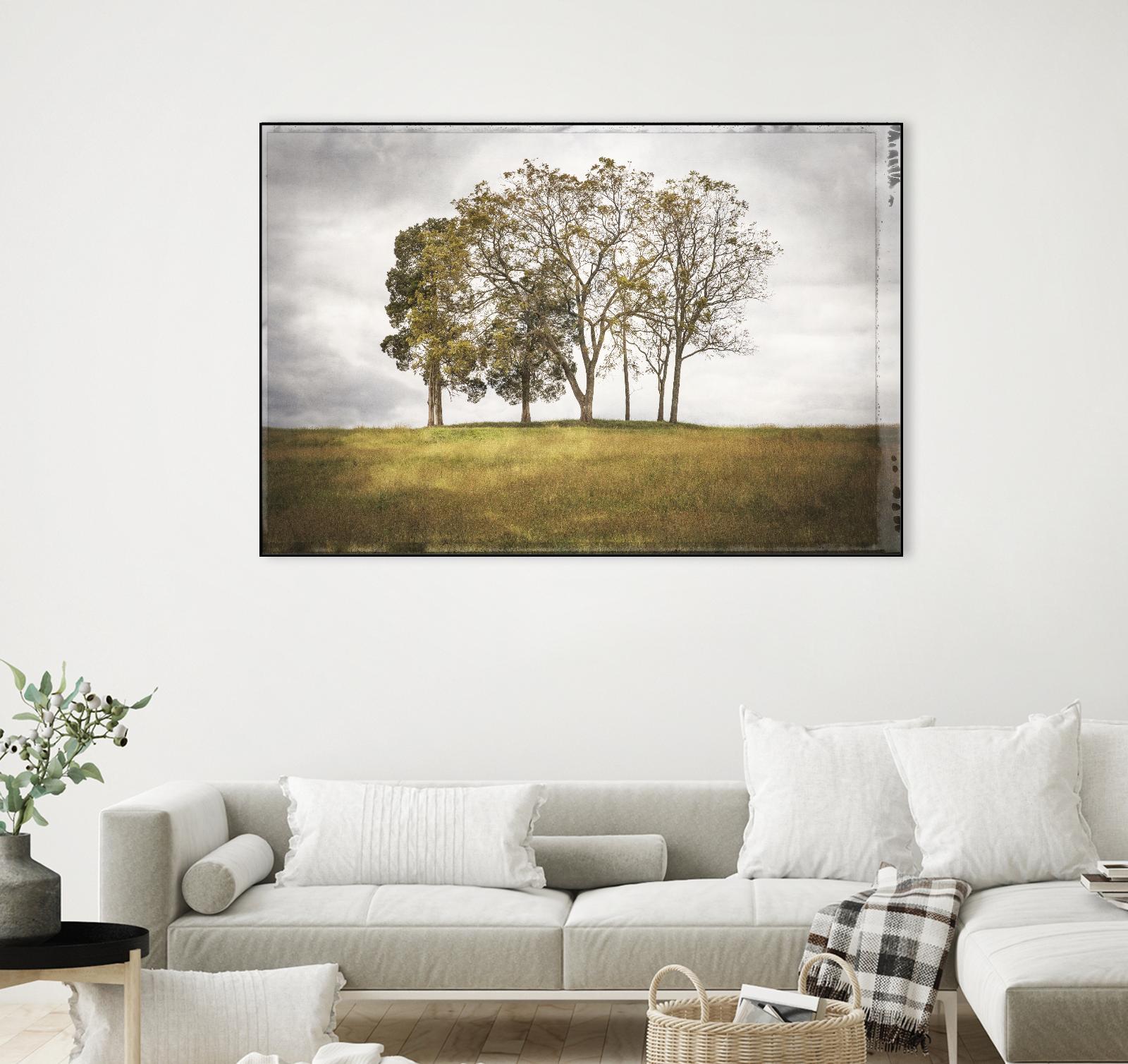 Three Trees by Lillis Werder on GIANT ART - gold landscape