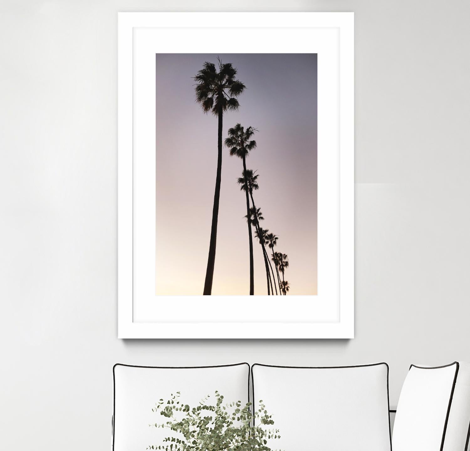 Palm Tree Silhouettes by Lillis Werder on GIANT ART - black tropical