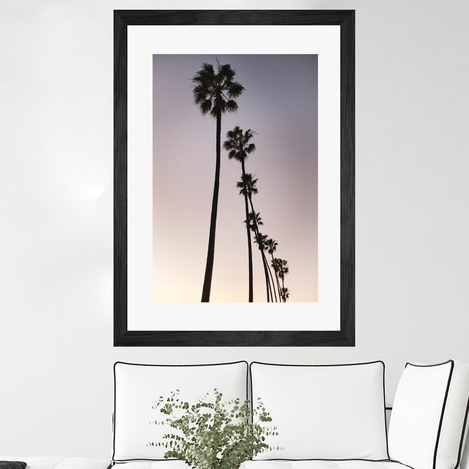 Palm Tree Silhouettes by Lillis Werder on GIANT ART - black tropical