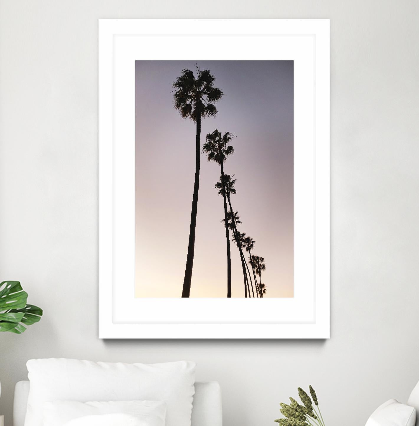Palm Tree Silhouettes by Lillis Werder on GIANT ART - black tropical