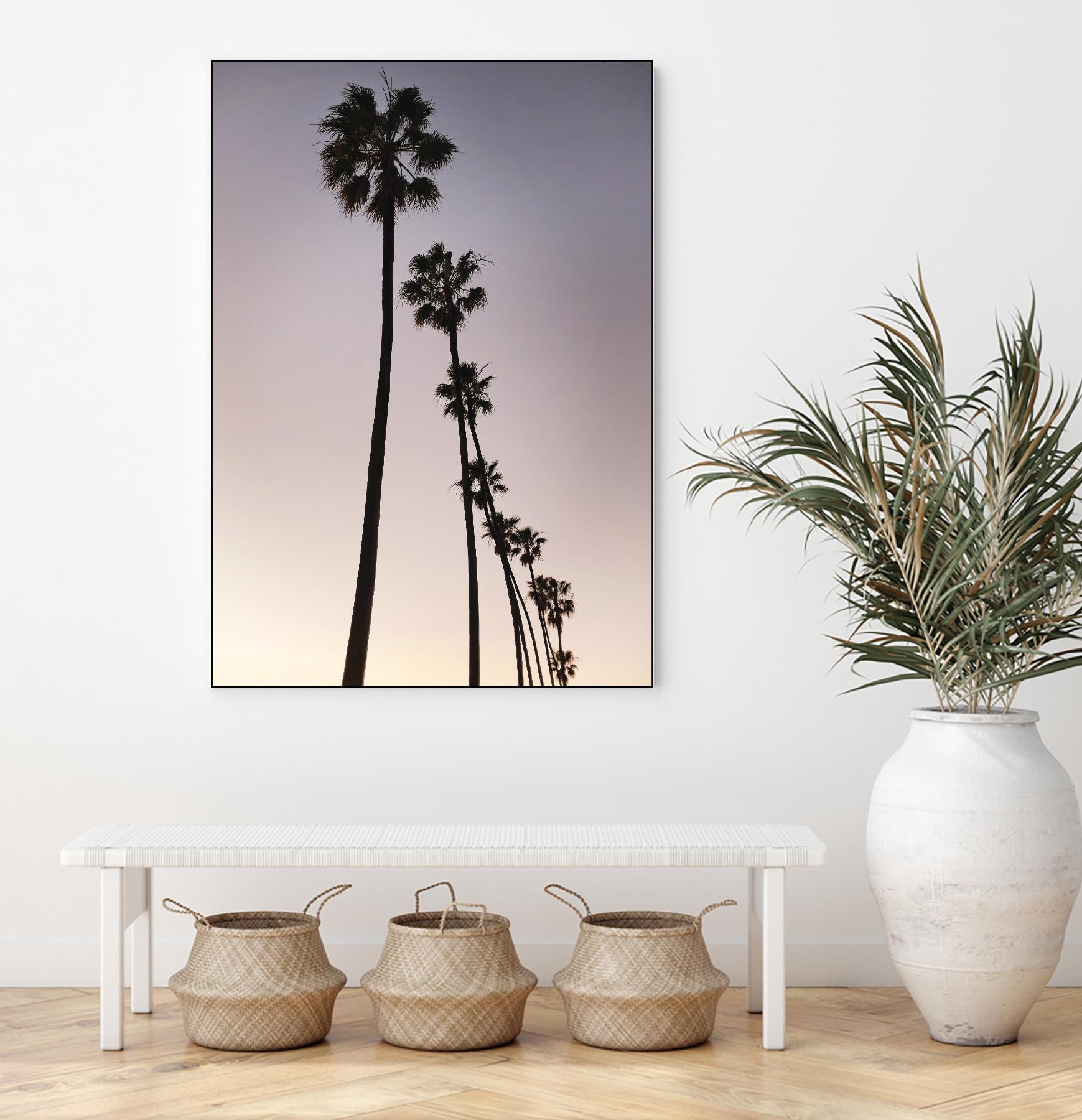 Palm Tree Silhouettes by Lillis Werder on GIANT ART - purple tropical