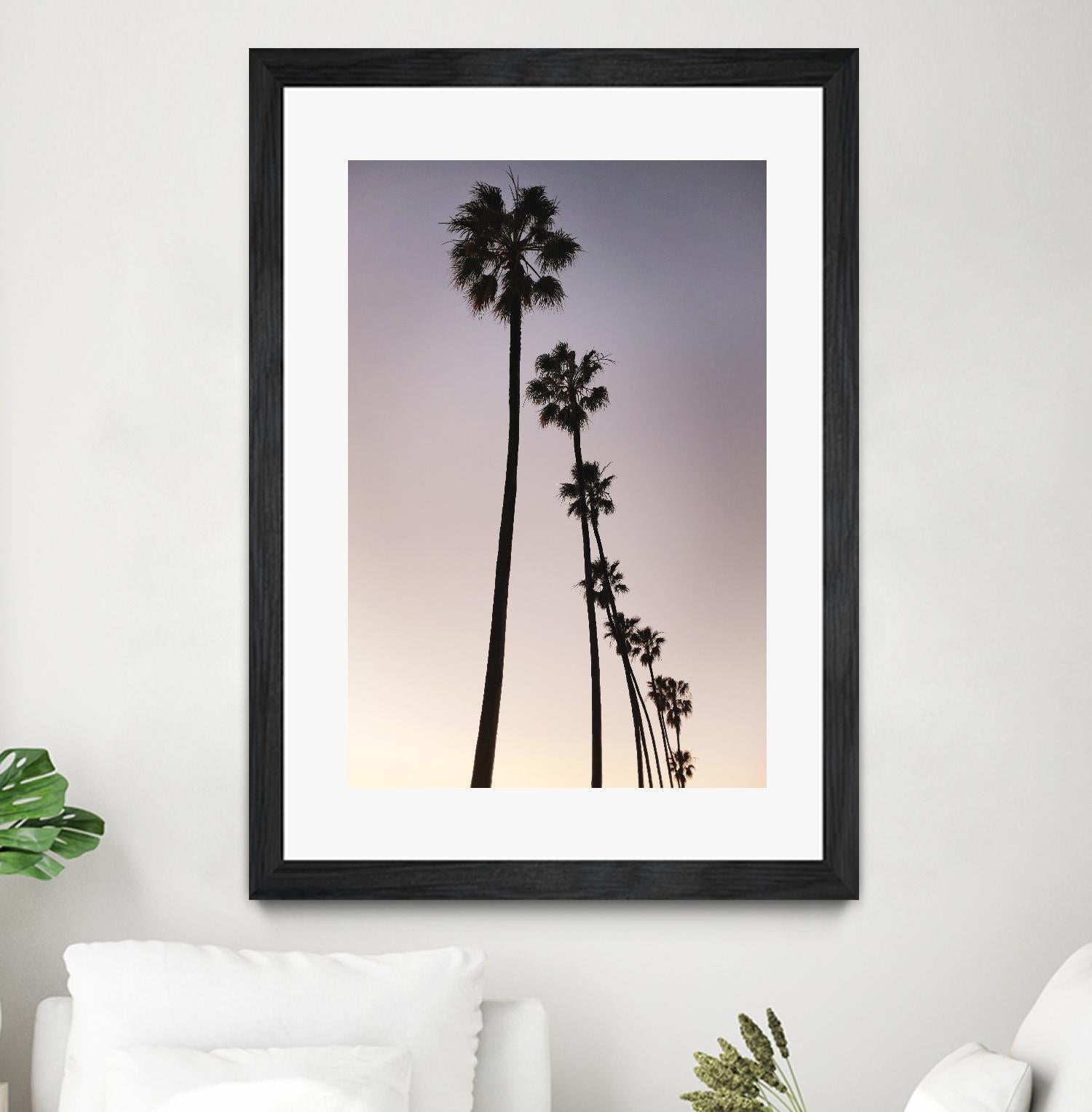 Palm Tree Silhouettes by Lillis Werder on GIANT ART - black tropical