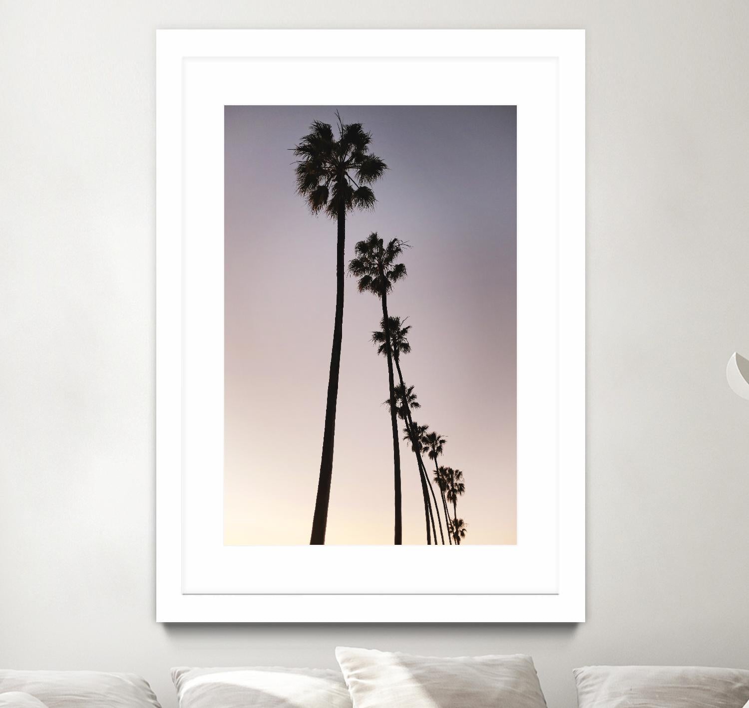 Palm Tree Silhouettes by Lillis Werder on GIANT ART - black tropical