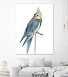 Bird 1 by Harvey, Brenna Harvey on GIANT ART - blue animals bird