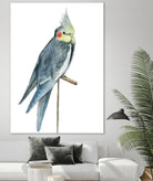 Bird 1 by Harvey, Brenna Harvey on GIANT ART - blue animals bird