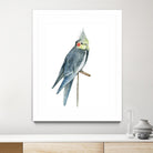 Bird 1 by Harvey, Brenna Harvey on GIANT ART - blue animal bird