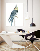 Bird 1 by Harvey, Brenna Harvey on GIANT ART - blue animal bird