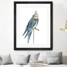 Bird 1 by Harvey, Brenna Harvey on GIANT ART - blue animal bird