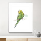 Bird 2 by Harvey, Brenna Harvey on GIANT ART - green animal bird