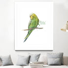 Bird 2 by Harvey, Brenna Harvey on GIANT ART - green animal bird