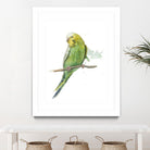 Bird 2 by Harvey, Brenna Harvey on GIANT ART - green animal bird