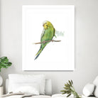 Bird 2 by Harvey, Brenna Harvey on GIANT ART - green animal bird