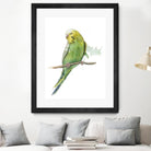 Bird 2 by Harvey, Brenna Harvey on GIANT ART - green animal bird