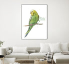 Bird 2 by Harvey, Brenna Harvey on GIANT ART - brown animals bird