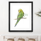 Bird 2 by Harvey, Brenna Harvey on GIANT ART - green animal bird