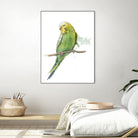 Bird 2 by Harvey, Brenna Harvey on GIANT ART - brown animals bird