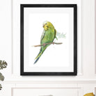 Bird 2 by Harvey, Brenna Harvey on GIANT ART - green animal bird