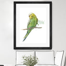 Bird 2 by Harvey, Brenna Harvey on GIANT ART - green animal bird