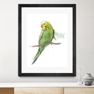 Bird 2 by Harvey, Brenna Harvey on GIANT ART - green animal bird