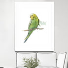 Bird 2 by Harvey, Brenna Harvey on GIANT ART - green animal bird