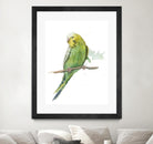 Bird 2 by Harvey, Brenna Harvey on GIANT ART - green animal bird