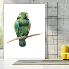 Bird 3 by Harvey, Brenna Harvey on GIANT ART - green animals bird