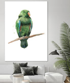 Bird 3 by Harvey, Brenna Harvey on GIANT ART - green animals bird