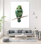 Bird 3 by Harvey, Brenna Harvey on GIANT ART - green animals bird
