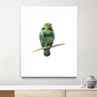 Bird 3 by Harvey, Brenna Harvey on GIANT ART - green animal bird