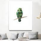 Bird 3 by Harvey, Brenna Harvey on GIANT ART - green animal bird