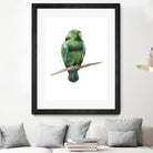 Bird 3 by Harvey, Brenna Harvey on GIANT ART - green animal bird