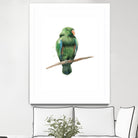 Bird 3 by Harvey, Brenna Harvey on GIANT ART - green animal bird