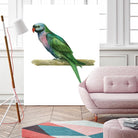 Bird 4 by Harvey, Brenna Harvey on GIANT ART - blue animals bird