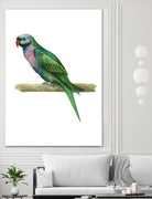 Bird 4 by Harvey, Brenna Harvey on GIANT ART - blue animals bird