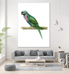 Bird 4 by Harvey, Brenna Harvey on GIANT ART - blue animals bird