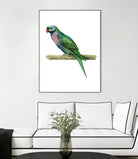 Bird 4 by Harvey, Brenna Harvey on GIANT ART - blue animals bird