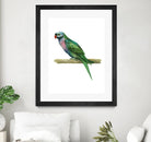 Bird 4 by Harvey, Brenna Harvey on GIANT ART - green animal bird