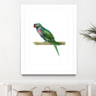 Bird 4 by Harvey, Brenna Harvey on GIANT ART - green animal bird