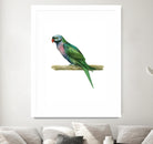 Bird 4 by Harvey, Brenna Harvey on GIANT ART - green animal bird