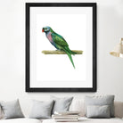 Bird 4 by Harvey, Brenna Harvey on GIANT ART - green animal bird