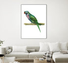 Bird 4 by Harvey, Brenna Harvey on GIANT ART - blue animals bird