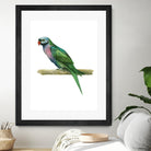 Bird 4 by Harvey, Brenna Harvey on GIANT ART - green animal bird